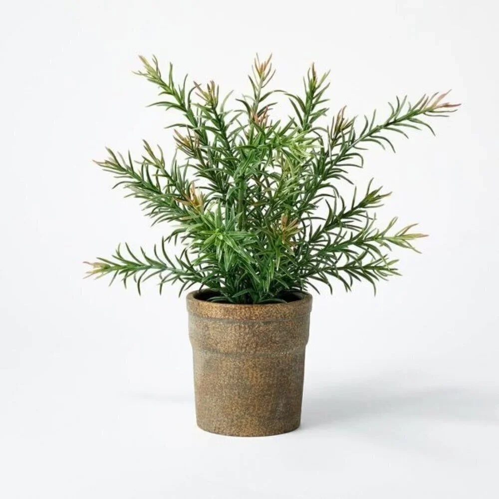 Small Pine Leaf Potted Arrangement - Threshold Studio McGee, Target 2022
